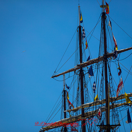 bay-city-tall-ships-2013-016