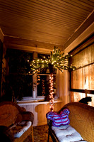 assorted_images-2007-33