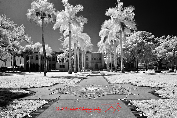 florida-2008-images-infrared_30.jpg