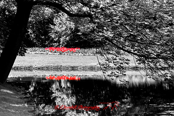 dow-gardens-2010_15