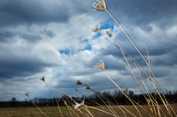 assorted_images-2011-33-nik