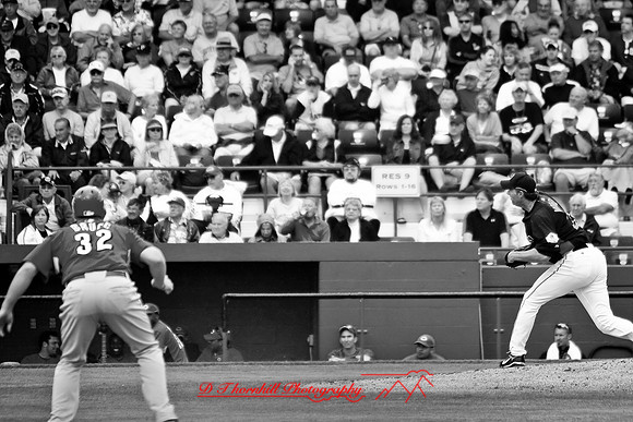 florida-2008-sports_09-nik.jpg