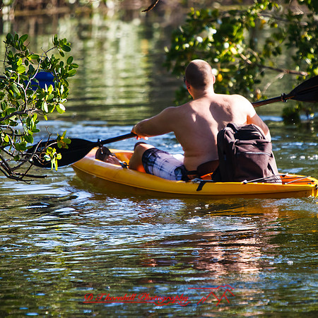 florida-march-2015-042