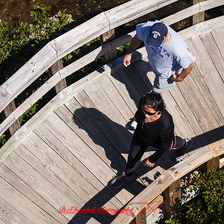 florida-march-2015-046