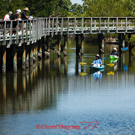 florida-march-2015-049