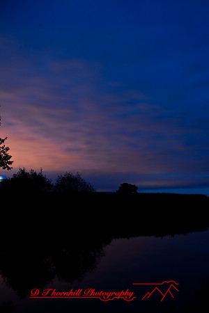 assorted_images-2008_12.jpg