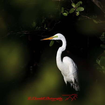 florida-march-2015-005