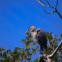 florida-march-2015-030
