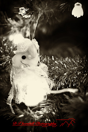 infrared-2009-christmas_03-nik.jpg