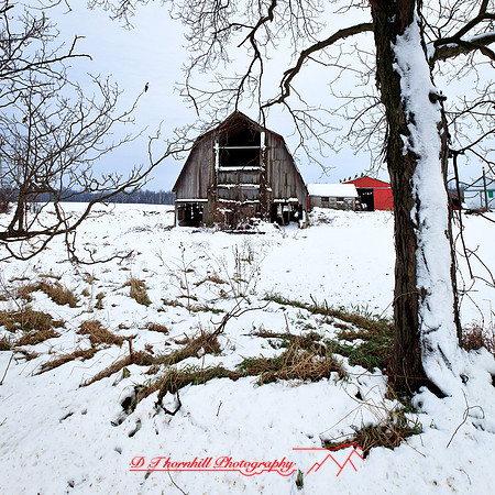 assorted_images-2012-161