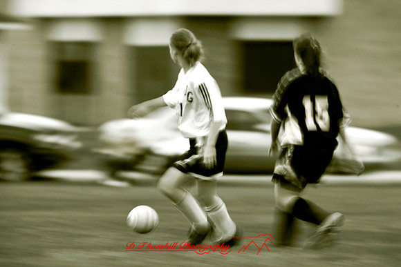 _MG_7003.jpg