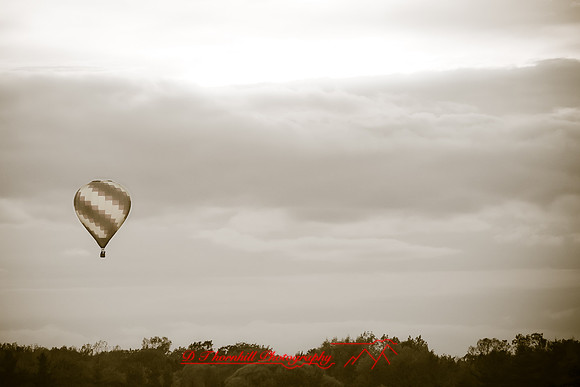 midland-balloon-2010_25-nik