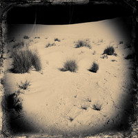 New Mexico-2017-Infrared-033-nas