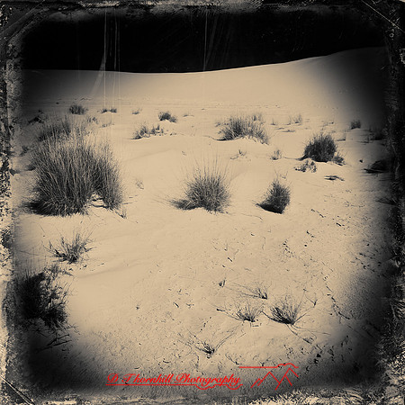New Mexico-2017-Infrared-033-nas