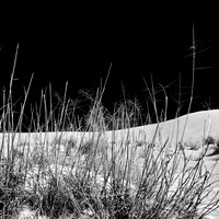 New Mexico-2017-Infrared-034-nas