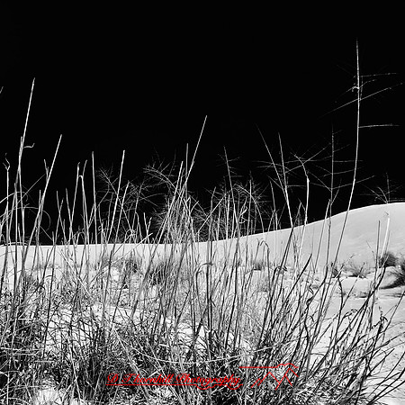 New Mexico-2017-Infrared-034-nas