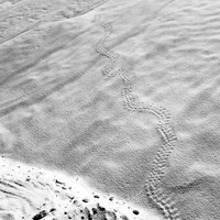 New Mexico-2017-Infrared-042-nas