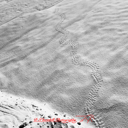 New Mexico-2017-Infrared-042-nas