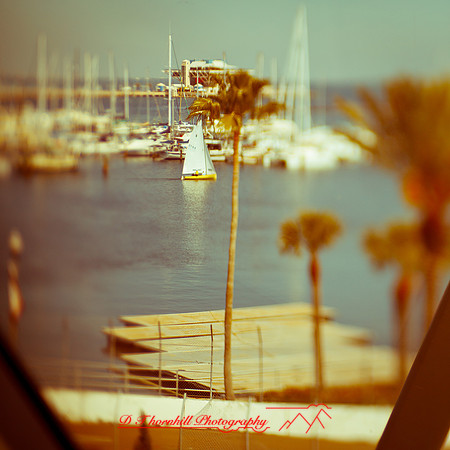 florida-2013-images035