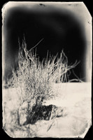 New Mexico-2017-Infrared-036-nas