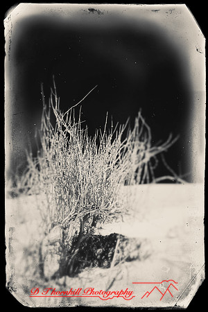 New Mexico-2017-Infrared-036-nas