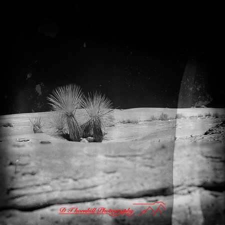 New Mexico-2017-Infrared-041-nas
