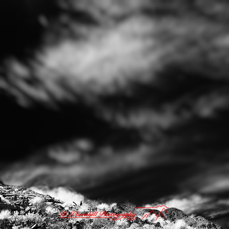 New Mexico-2017-Infrared-004-nas