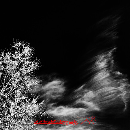 New Mexico-2017-Infrared-003-nas