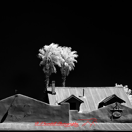 New Mexico-2017-Infrared-015-nas