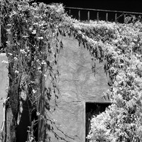 New Mexico-2017-Infrared-017-nas