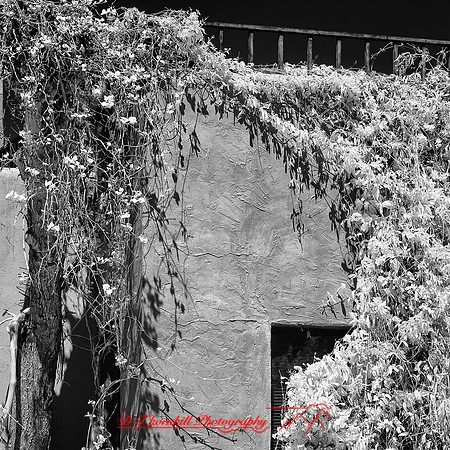 New Mexico-2017-Infrared-017-nas