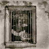 New Mexico-2017-Infrared-025-nas