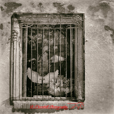 New Mexico-2017-Infrared-025-nas