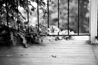 assorted-images-2006_028