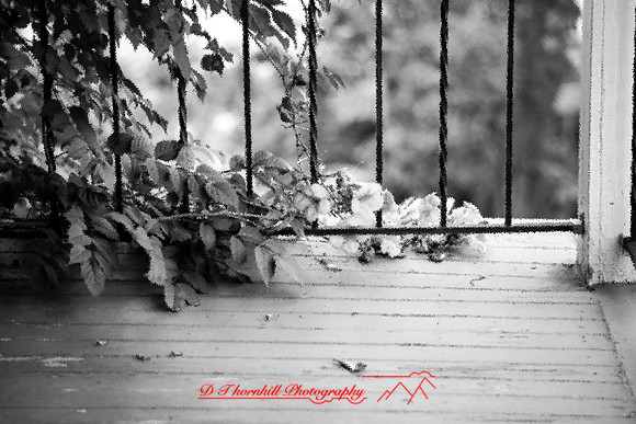 assorted-images-2006_028
