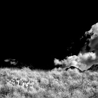 New Mexico-2017-Infrared-049-nas
