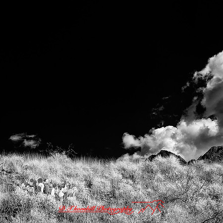 New Mexico-2017-Infrared-049-nas