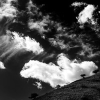 New Mexico-2017-Infrared-046-nas
