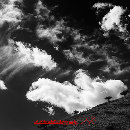 New Mexico-2017-Infrared-046-nas