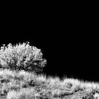 New Mexico-2017-Infrared-047-nas