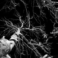 New Mexico-2017-Infrared-051-nas