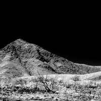 New Mexico-2017-Infrared-053-nas