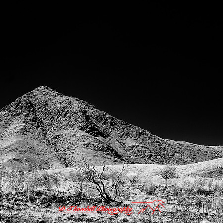 New Mexico-2017-Infrared-053-nas