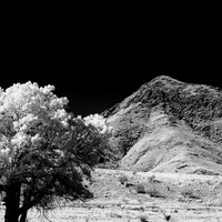 New Mexico-2017-Infrared-056-nas