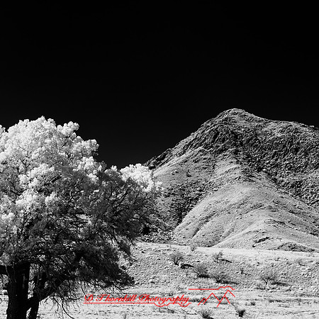New Mexico-2017-Infrared-056-nas