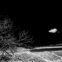 New Mexico-2017-Infrared-055-nas