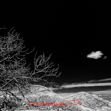 New Mexico-2017-Infrared-055-nas