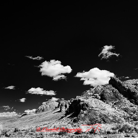 New Mexico-2017-Infrared-057-nas