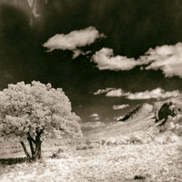 New Mexico-2017-Infrared-059-nas
