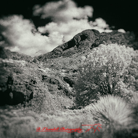New Mexico-2017-Infrared-063-nas